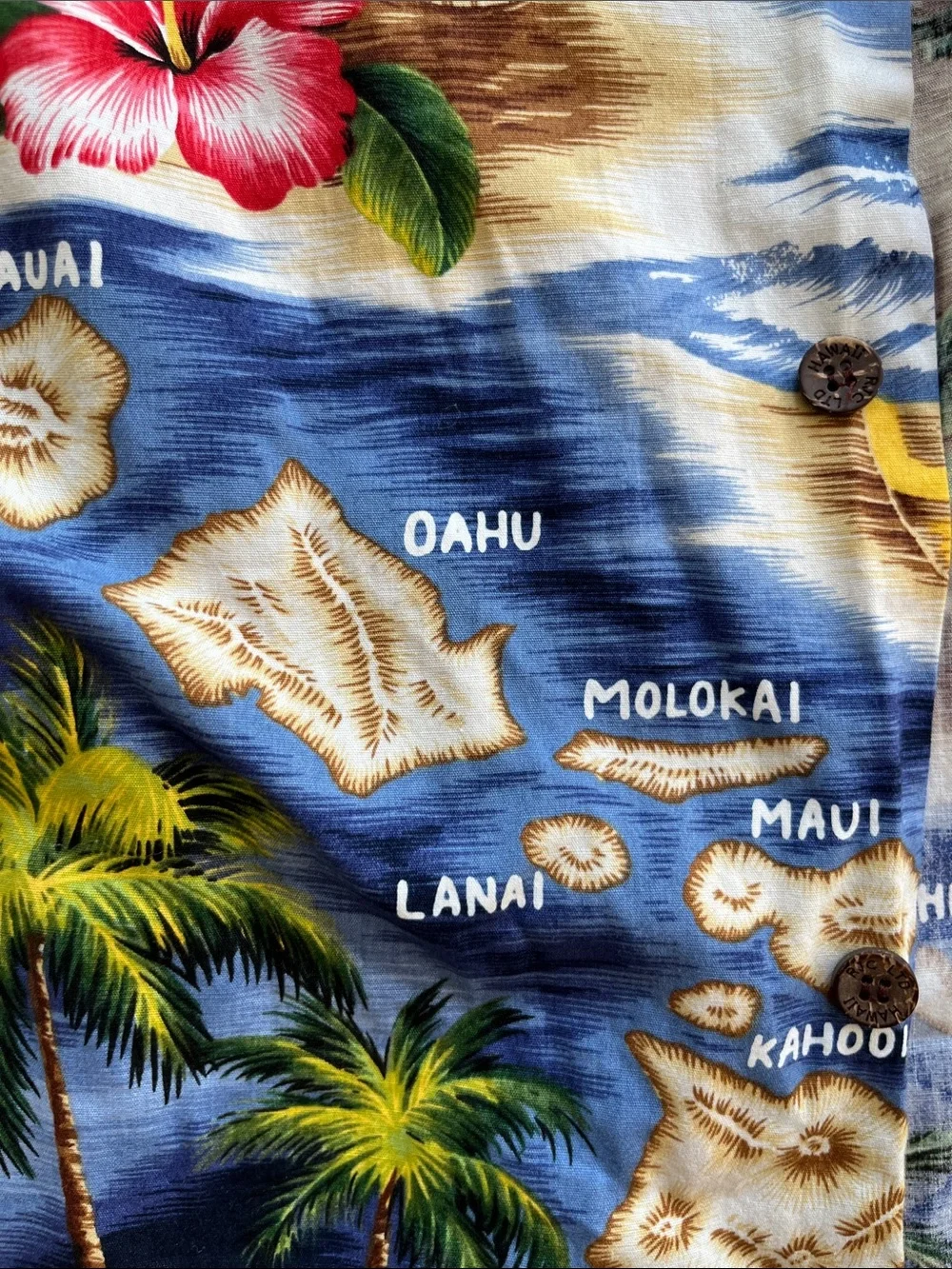 Vintage Boys Blue Tropical Hawaiian Button-Down Shirt with Floral Print